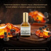 Крем для тела парфюмированный - Black Pepper & Amber